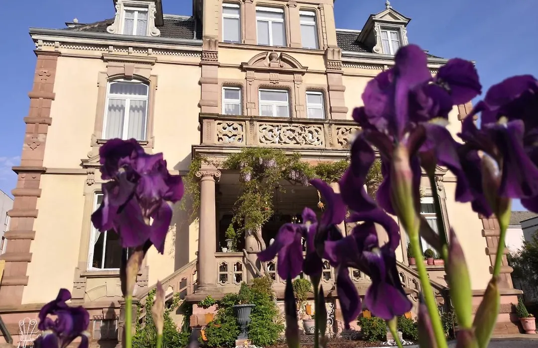 Castelnau-1